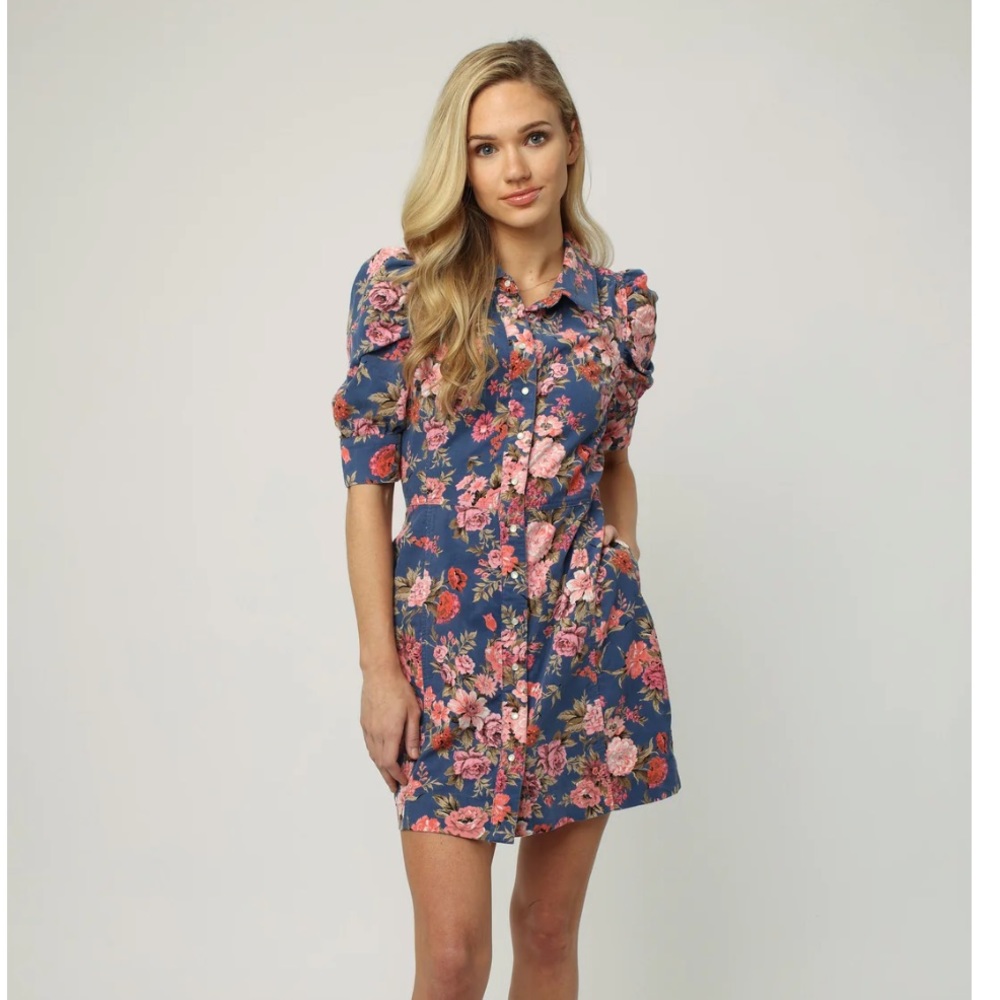 Dear John Indigo Adeline Dress. XS. NWT.